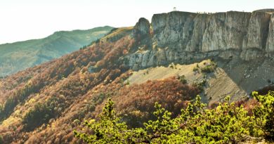 Экскурсии в `Крымский природный заповедник` из Орджонекидзе