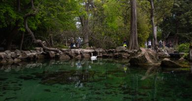 Экскурсия из Феодосии: Южный берег Крыма фото 12844