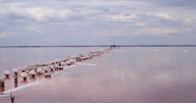 Экскурсии в Озеро Сасык-Сиваш (розовое озеро) из Орджонекидзе 2024