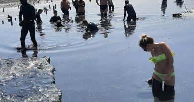Экскурсии в Купание в Азовском море с. Курортное из Орджоникидзе 2025